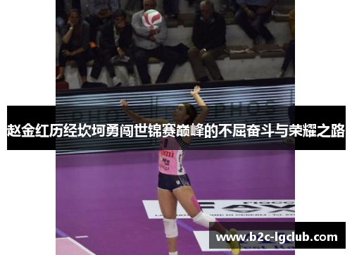 赵金红历经坎坷勇闯世锦赛巅峰的不屈奋斗与荣耀之路