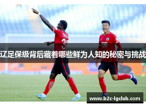 辽足保级背后藏着哪些鲜为人知的秘密与挑战